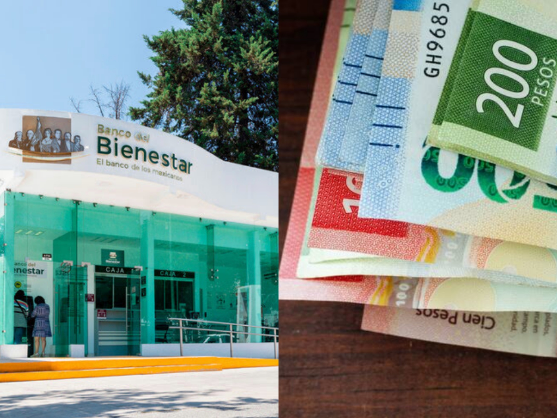 ¡CONFIRMADO! ASÍ CAERÁ EL PAGO DE PENSIÓN BIENESTAR MARZO 2026. - Reporte90